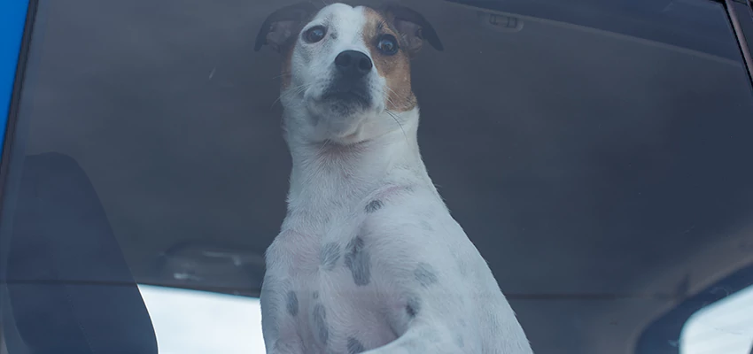 Car Lockout Solutions in Redding, California